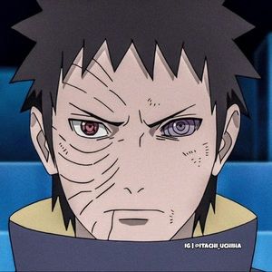 Meet your Posher, Roy